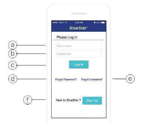 WellDoc BlueStar or WellDoc DiabetesManager System and DiabetesManager Rx System